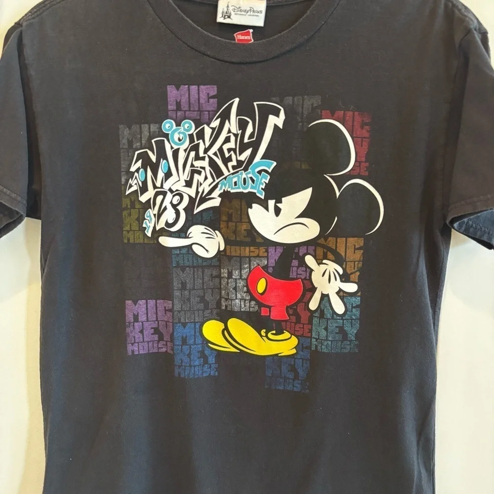 Walt Disney disney parks